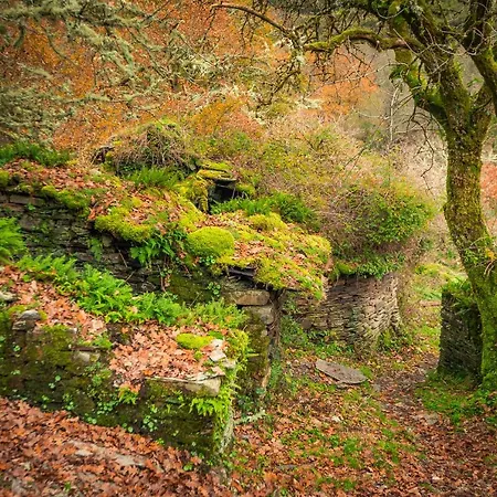 Venkovský dům A Casoa Santa Eulalia de Oscos