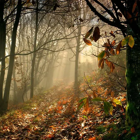 Séjour à la campagne A Casoa