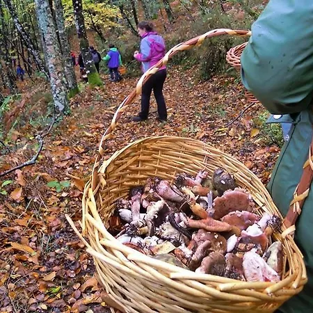 Séjour à la campagne A Casoa *